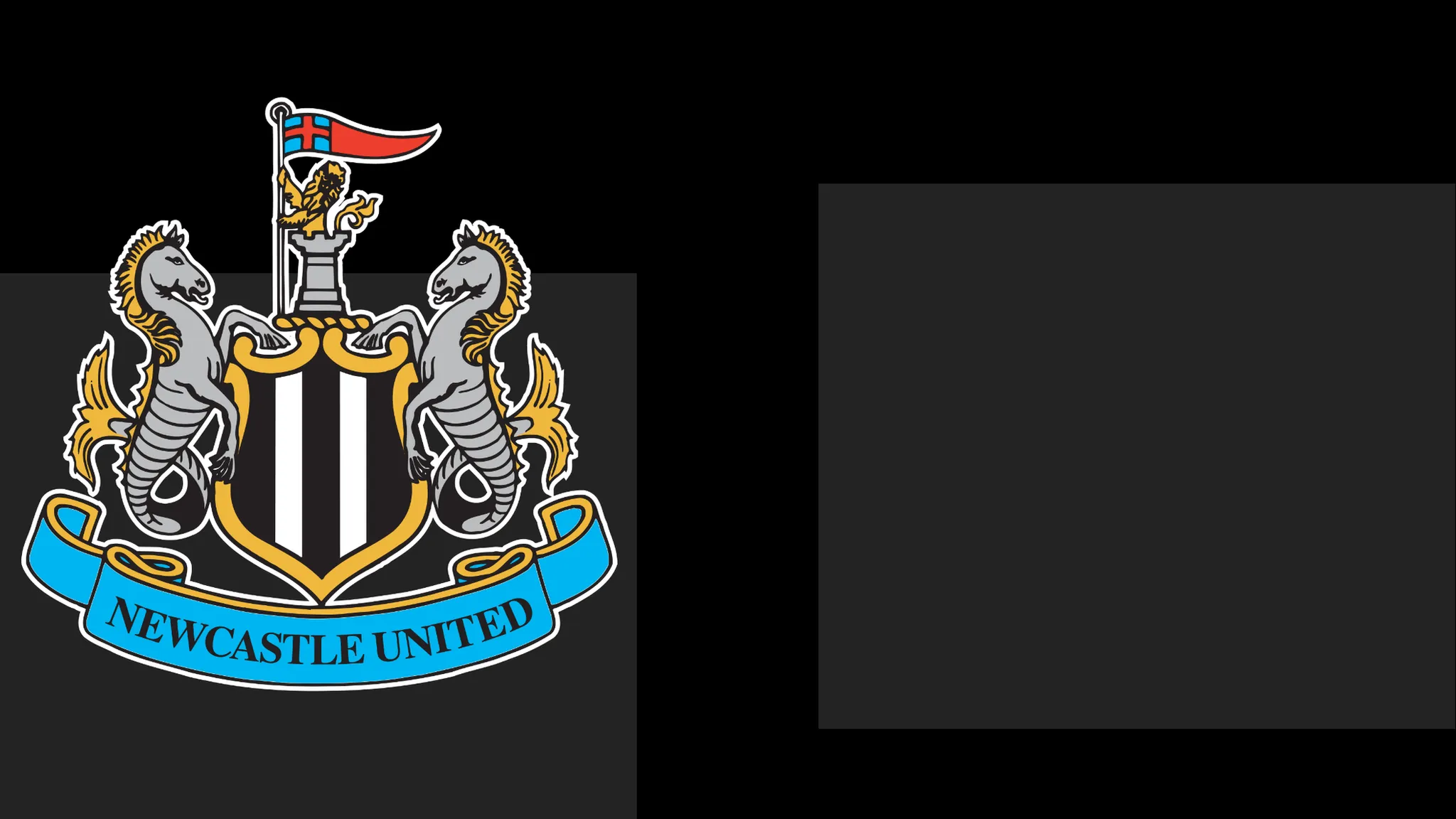 Newcastle Issue Apology to Followers Following Matchday Issue