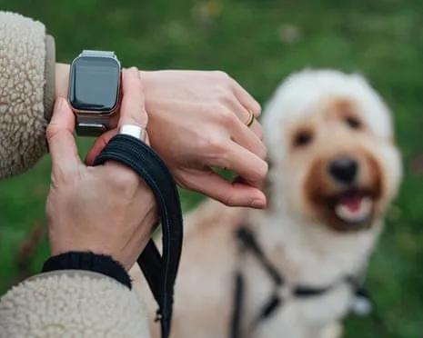 The Truth Regarding Smartwatches? Life Feels Fuller Devoid of a Nagging Zealot on Your Arm