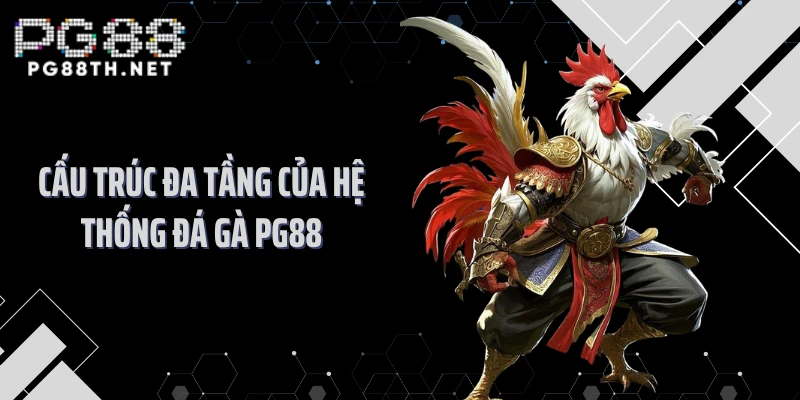 Cấu trúc đa tầng của hệ thống đá gà PG88